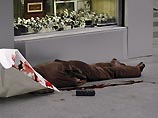 Разрешение на строительство в Москве будут выдавать через "одно окно" Разрешение на строительство в Москве будут выдавать через "одно окно"