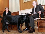 В Сочи идут переговоры Владимира Путина и Ангелы Меркель В Сочи идут переговоры Владимира Путина и Ангелы Меркель