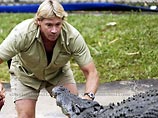 Последнюю передачу австралийского "охотника на крокодилов" Стива Ирвина посмотрели 3,2 млн человек