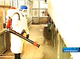 В Азербайджане с подозрением на "птичий грипп" госпитализирован 14-летний подросток В Азербайджане с подозрением на "птичий грипп" госпитализирован 14-летний подросток