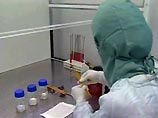 В Венгрии выявлен опасный для человека вирус "птичьего гриппа" В Венгрии выявлен опасный для человека вирус "птичьего гриппа"