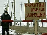 В Россию вернулся "птичий грипп" В Россию вернулся "птичий грипп"
