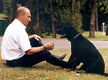 В СФ готовят закон, по которому собаку Путина стерилизуют, а его направят на медосмотр к наркологу и психиатру