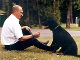 В СФ готовят закон, по которому собаку Путина стерилизуют, а его направят на медосмотр к наркологу и психиатру В СФ готовят закон, по которому собаку Путина стерилизуют, а его направят на медосмотр к наркологу и психиатру