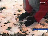 В Омской области выпал оранжевый снег. МЧС едет разбираться