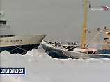 Российские моряки, голодающие в Норвегии уже 8-ой день, подали в суд на владельца 