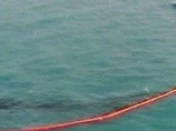 Авария контейнеровоза на причале в Калининграде - в море попали две тонны мазута