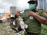 Индонезия вместе с американцами хочет запатентовать "птичий грипп", тем временем в мире от него умерли еще трое