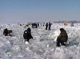Несколько рыбаков дрейфуют в настоящее время на льдине в Финском заливе