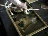 США заявляют, что ас-Садр сбежал в Иран, но представители шиитского лидера называют это ложью США заявляют, что ас-Садр сбежал в Иран, но представители шиитского лидера называют это ложью
