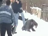 Под Петербургом произошла массовая драка: двое узбеков погибли Под Петербургом произошла массовая драка: двое узбеков погибли