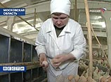 Все больные "птичим гриппом" куры были куплены в Москве у одного и того же продавца
