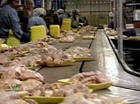 Кроме России и Турции, в Азербайджан импортируется птичье мясо также из США, Канады и Бразилии