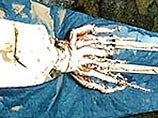 Новозеландские рыбаки поймали у берегов Антарктиды самого большого в мире кальмара Новозеландские рыбаки поймали у берегов Антарктиды самого большого в мире кальмара