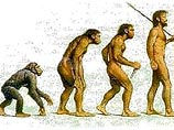 У людей и шимпанзе имелся общий предок, обитавший на нашей планете около 4 млн лет назад, а не 5-7 млн лет назад, как предполагалось ранее