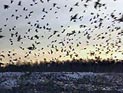 Реальный уровень проникновения сотовой связи в России - чуть выше 70% Реальный уровень проникновения сотовой связи в России - чуть выше 70%