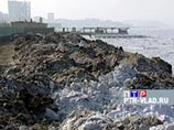"НИ": под угрозой закрытия единственный на Дальнем Востоке дельфинарий "НИ": под угрозой закрытия единственный на Дальнем Востоке дельфинарий