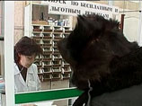 Правительство предлагает делать импортные лекарства в России, а "дорогих" больных лечить по-особому