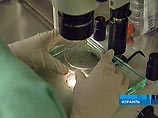 В Израиле участились случаи заражения новым штаммом бактерии Klebsiella pneumoniae, невосприимчивым к большинству антибиотиков. По данным врачей, около 150 пациентов больниц заразились вирусом, примерно 30% из них скончались В Израиле участились случаи заражения новым штаммом бактерии Klebsiella pneumoniae, невосприимчивым к большинству антибиотиков. По данным врачей, около 150 пациентов больниц заразились вирусом, примерно 30% из них скончались