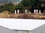 Очаг возник на птицеферме в окрестностях города Чхонан примерно в 90 километрах к югу от столицы Южной Кореи Сеула