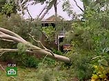 До трех человек возросло число погибших в результате мощного тропического циклона "Джордж", обрушившегося сегодня на северо-западное побережье Австралии