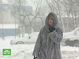 На Камчатку обрушился мощный циклон На Камчатку обрушился мощный циклон