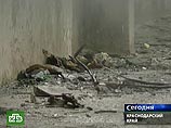 Обознавшись, женщина избила автоинспектора его же жезлом Обознавшись, женщина избила автоинспектора его же жезлом