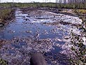 Падение цен на жилье в США достигло рекордной отметки Падение цен на жилье в США достигло рекордной отметки