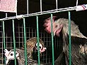 Рынок недвижимости Франции обвалится на 15%. Это привлечет россиян, считают аналитики Рынок недвижимости Франции обвалится на 15%. Это привлечет россиян, считают аналитики