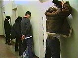 Автоинспекторы направили пьяную лошадь на медэкспертизу Автоинспекторы направили пьяную лошадь на медэкспертизу