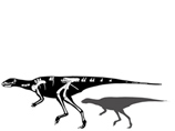 Американские ученые в штате Монтана обнаружили останки карликовых динозавров