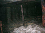 В Подмосковье обвалом в пещере блокированы до 20 спелеологов