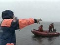Полковник украсил свой коттедж пятью миллионами монет Полковник украсил свой коттедж пятью миллионами монет
