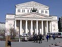 Экологи купили 2200 гектаров земли для спасения редкого вида попугаев Экологи купили 2200 гектаров земли для спасения редкого вида попугаев