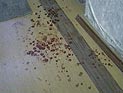 Житель Нижегородской области приговорен к 2,5 годам колонии-поселения за "кражу интернета" Житель Нижегородской области приговорен к 2,5 годам колонии-поселения за "кражу интернета"