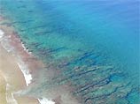 Согласно представленным WWF данным, первым исчезнет коралловый барьер, который во многих местах, от Тихого океана до Карибского моря, становится более бледным
