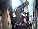 Мосельхоз опять провел лесной аукцион – без ажиотажа и скандала Мосельхоз опять провел лесной аукцион – без ажиотажа и скандала