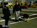 Представители силовых структур проверяют здания и помещения университета с целью поиска взрывного устройства. В Университете Сент-Эдвардс обучаются около пяти тысяч студентов Представители силовых структур проверяют здания и помещения университета с целью поиска взрывного устройства. В Университете Сент-Эдвардс обучаются около пяти тысяч студентов