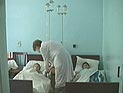 На Васильевском острове построят телефабрику. Эксперты полагают, что павильоны будут пустовать На Васильевском острове построят телефабрику. Эксперты полагают, что павильоны будут пустовать