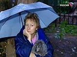 В ночь на пятницу местами может пройти дождь. Ветер западный, 4-9 метров в секунду. Температура в столице - 4-6 градусов тепла, по области - 2-7 градусов В ночь на пятницу местами может пройти дождь. Ветер западный, 4-9 метров в секунду. Температура в столице - 4-6 градусов тепла, по области - 2-7 градусов