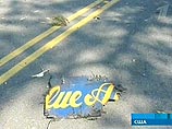Трагедия на авиашоу в США - истребитель упал на дома Трагедия на авиашоу в США - истребитель упал на дома
