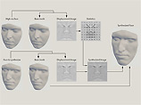 Ученые США научились "клонировать" лицо, создавая его "живое" трехмерное изображение
