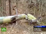 На месте крушения Ми-8 в Чечне найдены "черные ящики" На месте крушения Ми-8 в Чечне найдены "черные ящики"