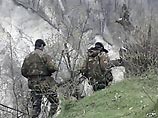По уточненным данным, накануне утром в Шатойском районе Чечни была обнаружена и блокирована группа боевиков под командованием Рамзана Салуева