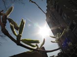 По прогнозам синоптиков, предстоящее лето будет одним из самых жарких По прогнозам синоптиков, предстоящее лето будет одним из самых жарких