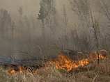 В Туве бушуют лесные пожары - 6,5 тысяч гектаров в огне