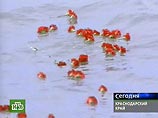 В Сочи открыт памятник жертвам катастрофы армянского аэробуса В Сочи открыт памятник жертвам катастрофы армянского аэробуса