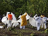 Власти Камеруна: кенийский Boeing-737 утонул в болоте - никто не выжил Власти Камеруна: кенийский Boeing-737 утонул в болоте - никто не выжил