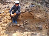 Найденное в Hовгородской области массовое захоронение детей и женщин является средневековым, утверждают археологи