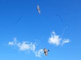 Жительница Баварии выиграла в лотерею роскошную виллу Жительница Баварии выиграла в лотерею роскошную виллу